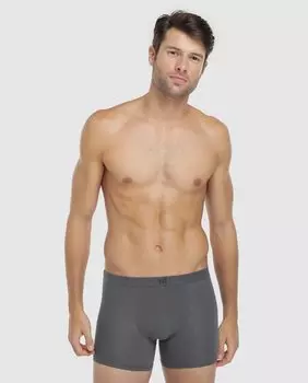 Серые мужские боксеры из органического хлопка ZD, серый