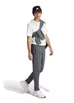 Серые мужские спортивные штаны IR9177 M adidas, серый