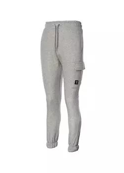 Серые мужские спортивные штаны Regular Fit Printed 931863-2006 HMLNICK JOGGER PANTS Hummel, серый
