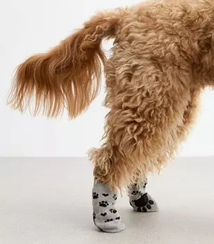 Серые носки для собак Paw New Look, серый