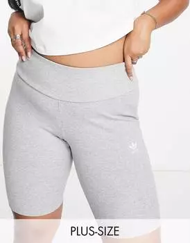 Серые шорты adidas Originals Plus Essentials