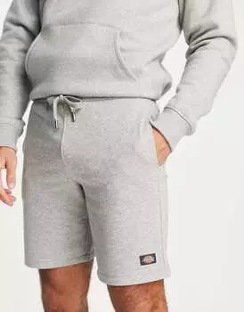 Серые шорты Dickies Champlin