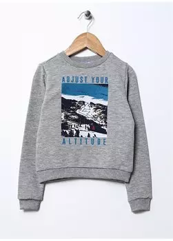 Серый меланжевый свитшот с круглым вырезом и длинными рукавами с принтом для мальчиков LANOS BOY Limon, серый