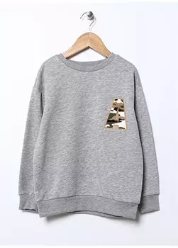 Серый меланжевый свитшот с вышивкой Boy 22WAB26 Aeropostale, серый