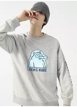 Серый мужской свитшот Boyner