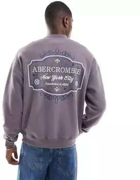 Серый свитшот с логотипом Abercrombie & Fitch и мозаичной вышивкой на груди и спине