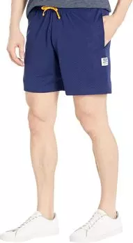 Сетчатые шорты с надписью Levi's, цвет Medieval Blue