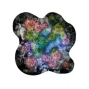 Шаблоны «Чужой лес», Terrain Crate - Battle Mats