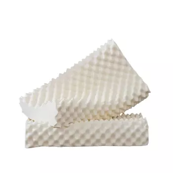 Shakespeare SASSENSI Подушка/наполнитель подушки, Гладкая упаковка 40*60 см.