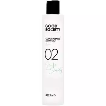 Шампунь для окрашенных волос 250 мл Увлажняет, смягчает и разглаживает пряди Artego Good Society Color Glow Shampoo 02