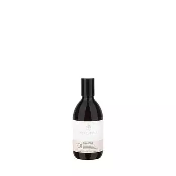 Шампунь для вьющихся волос 01 Shampoo Hk Color, 300 мл