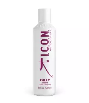 Шампунь для волос ICON Fully, 250 ml