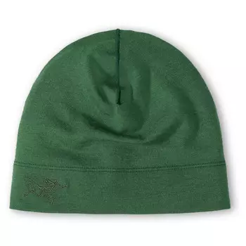 Шапка Arc'Teryx Rho Lightweight Wool Toque, цвет Eden