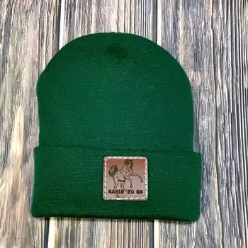 Шапка-бини Ranchy Youth Beanie для мальчиков "Roaring To Go" зеленого цвета The Whole Herd