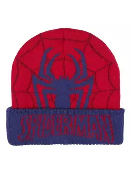 Шапка Cerda SPIDERMAN, разноцветный