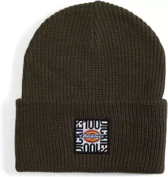 Шапка Dickies 100th Anniversary Beanie Hat, цвет Moss Green