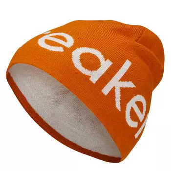 Шапка Icebreaker, цвет Earth/Ecru Hthr