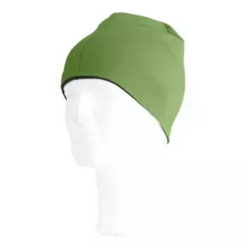 Шапка Lasting BONY 6080, зеленый