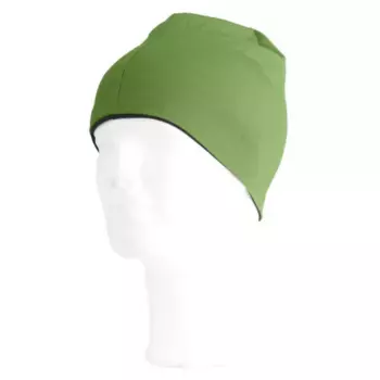 Шапка Lasting BONY 6090, зеленый