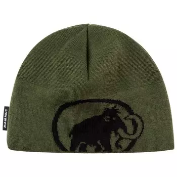 Шапка Mammut Tweak Beanie, цвет Dark Marsh/Black