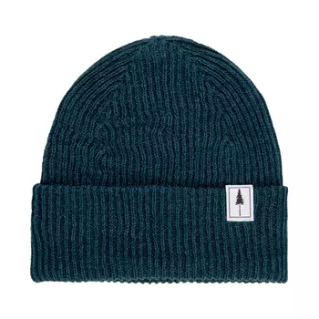Шапка Nikin Treeanie Folded Ripped, цвет Petrol