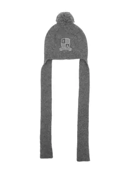 Шапка с логотипом Emporio Armani Kids, серый