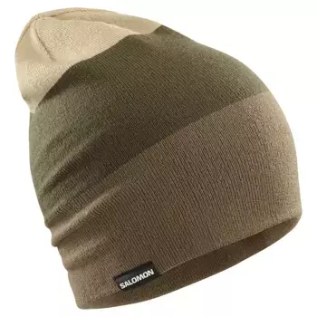 Шапка Salomon Flatspin Reversible, коричневый