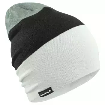 Шапка Salomon Flatspin Reversible, зеленый