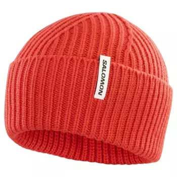 Шапка Salomon Snowbird, оранжевый