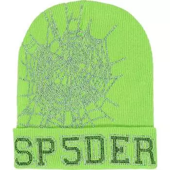 Шапка Sp5der Web Beanie, зеленый