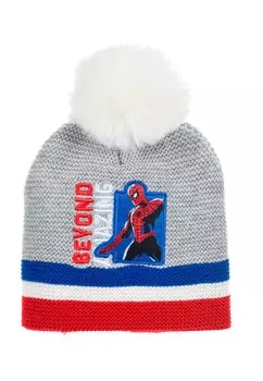 Шапка Spiderman, цвет grau