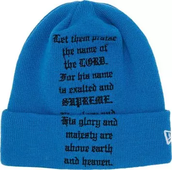 Шапка Supreme x New Era Psalm 'Light Slate', синий