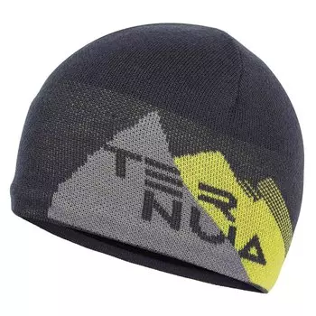 Шапка Ternua Renua, серый