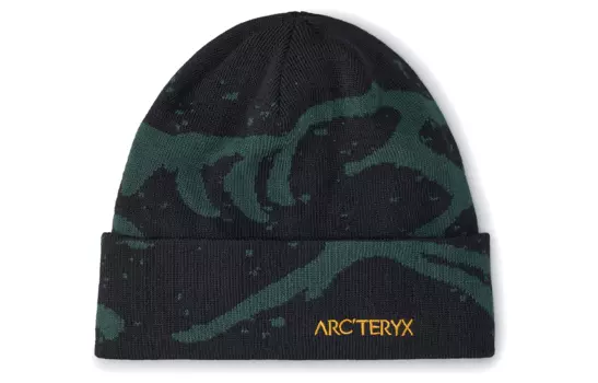 Шапка унисекс Arcteryx, черный