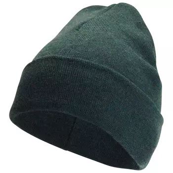 Шапка Woolpower Beanie Classic, цвет Forest Green