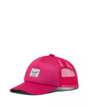 Шапочка для мальчика из ткани с принтом Herschel, многоцветный