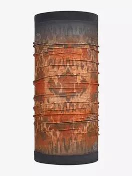 Шарф Buff Loop Polar, красочный