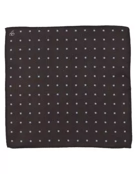 Шарф Canali, темно-коричневый