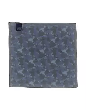 Шарф Cc Collection Corneliani, синий