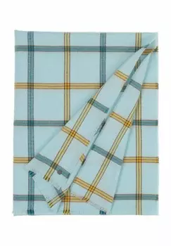 Шарф CHECKED FRAAS, светло-голубой