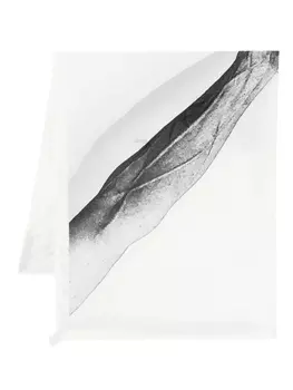 Шарф Flag Rick Owens, белый