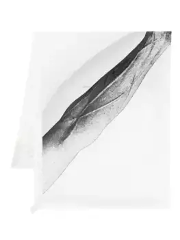 Шарф Flag Rick Owens, белый