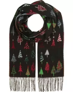 Шарф FRAAS, черный