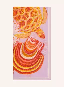 Шарф галапагосы Inoui Editions, фиолетовый