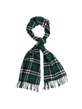 Шарф Gant, цвет lavishgreen