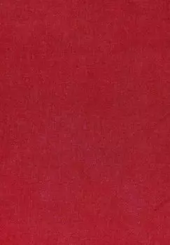 Шарф STOLA FRAAS, красный