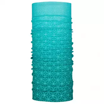 Шарф-труба P.A.C. Original, цвет Bureg