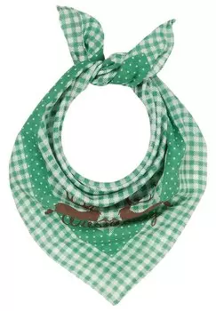 Шарф Wiesnknig, зеленый