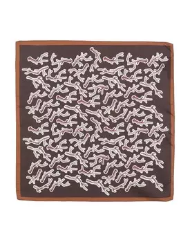 Шарф Zegna, темно-коричневый