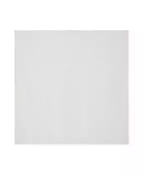 Шейл-шарф с пико и узором пейсли Elegance Square Steve Madden, белый